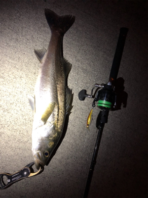 サッパパターン！