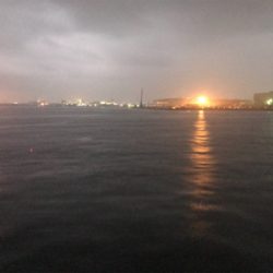 自作テンヤのテスト