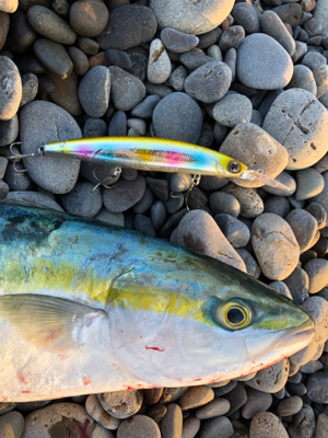 チャンスをものに♪