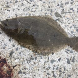 本命はどこにいるのやら