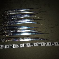 今日は、ワインドＤＡＹ