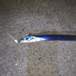 なんとかボウズ回避