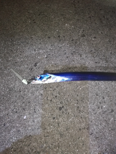 なんとかボウズ回避