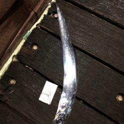 今日はアタリが少なかったです