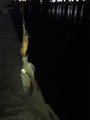 瀑釣？と思ったのもつかのま…