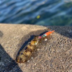 行ったことないところ