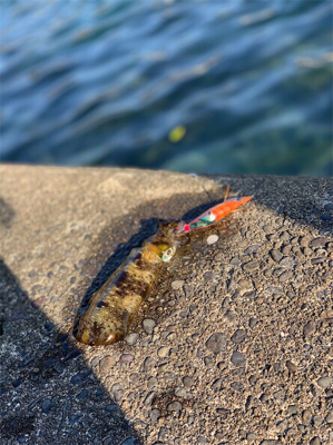 行ったことないところ