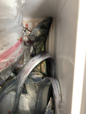 良いのか？悪いのか？