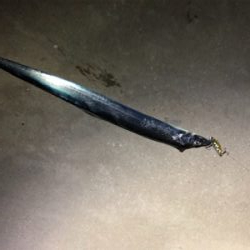 サイト太刀魚！