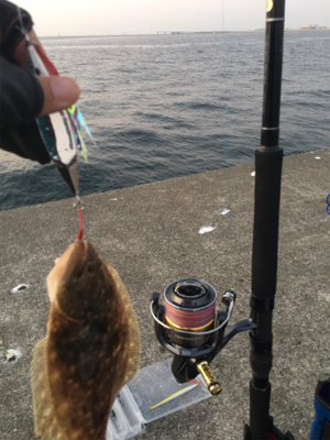 船長情報無視の結果…