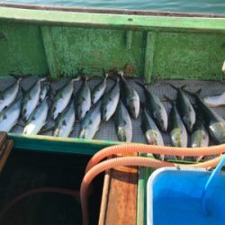 孝洋丸 落とし込み