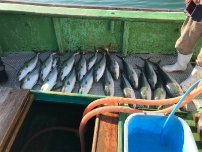 孝洋丸 落とし込み