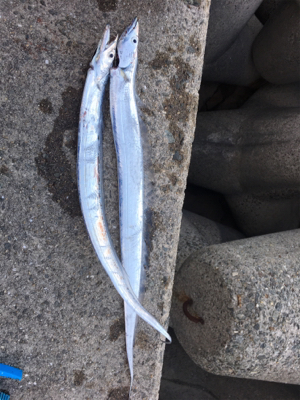 ひさしぶりの釣り