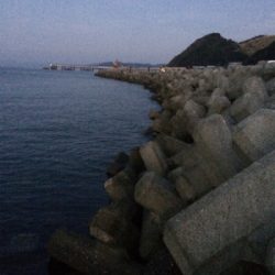 鳴門でタチウオテンヤ