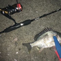 鳴門でライトゲーム