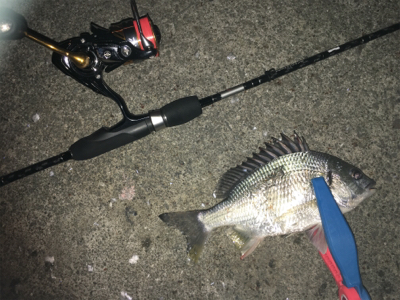 鳴門でライトゲーム