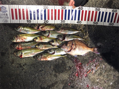 佐田岬遠征①日目