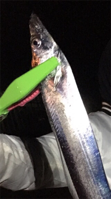 タッチー、タッコー、チーバッスー