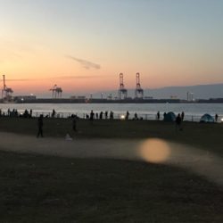 シーサイドコスモ