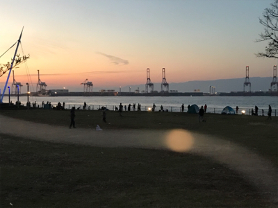 シーサイドコスモ