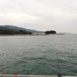 平日なら人気の釣り公園もいいかもね