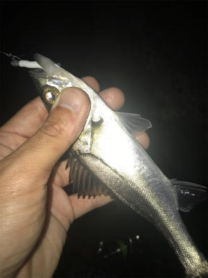 名港ライトゲーム