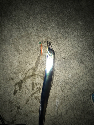 ニューメソッド追加‼︎ タチ…