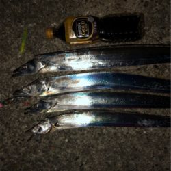 太刀魚ゲッターで太刀魚ゲッツ