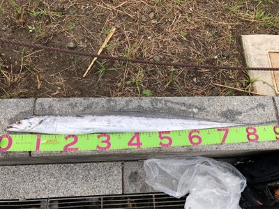 2日連続朝まずめ