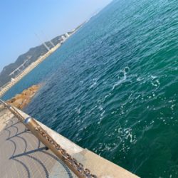 餌釣りとメバリング