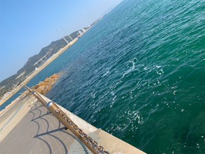 餌釣りとメバリング