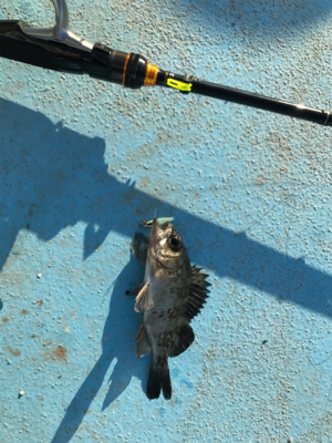 マイクロジグでのライトゲーム