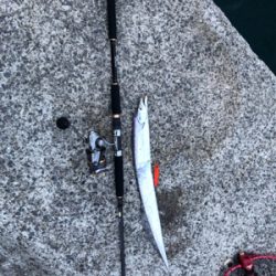 渋すぎ風強すぎ沖堤防!