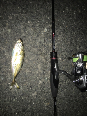 ナイトアジング