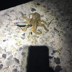 友達と、2桁目指して