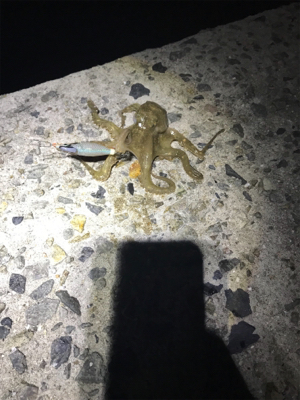 友達と、2桁目指して