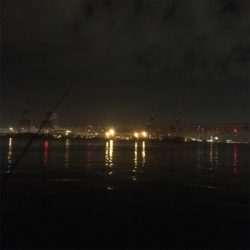 大阪湾奥アジング ビッグゲスト