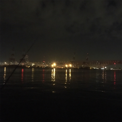 大阪湾奥アジング ビッグゲスト