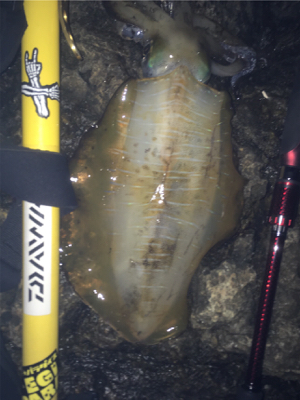 キロアップが遠い！