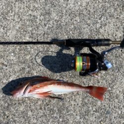 ウルトラライトショアジギング。