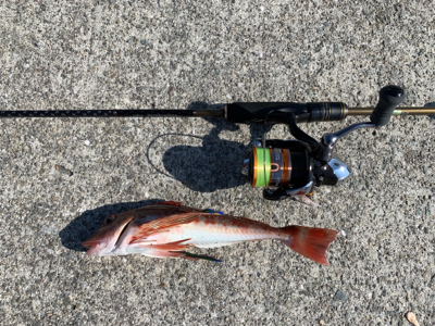 ウルトラライトショアジギング。