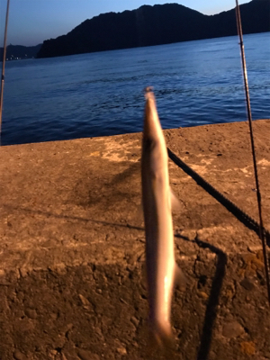 御所浦ライトゲーム