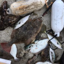 SFC プライベートボートでボートロック、五目釣り