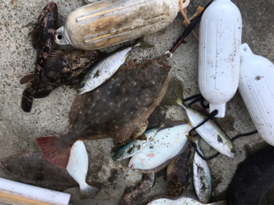 SFC プライベートボートでボートロック、五目釣り