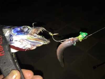 スーパーライト太刀魚テンヤゲーム