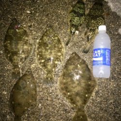 残り餌でカレイ釣り