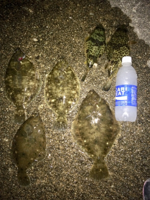 残り餌でカレイ釣り