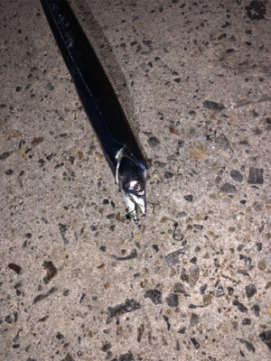 仕事前のプチ釣行！