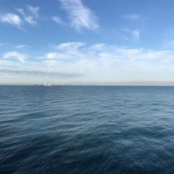 釣れるうちにタチウオ