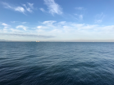 釣れるうちにタチウオ